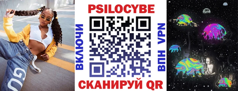 Псилоцибиновые грибы Psilocybine cubensis  Купить  Грозный 