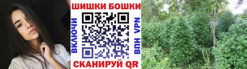 Купить закладки  Грозный  Бошки Шишки Ganja 